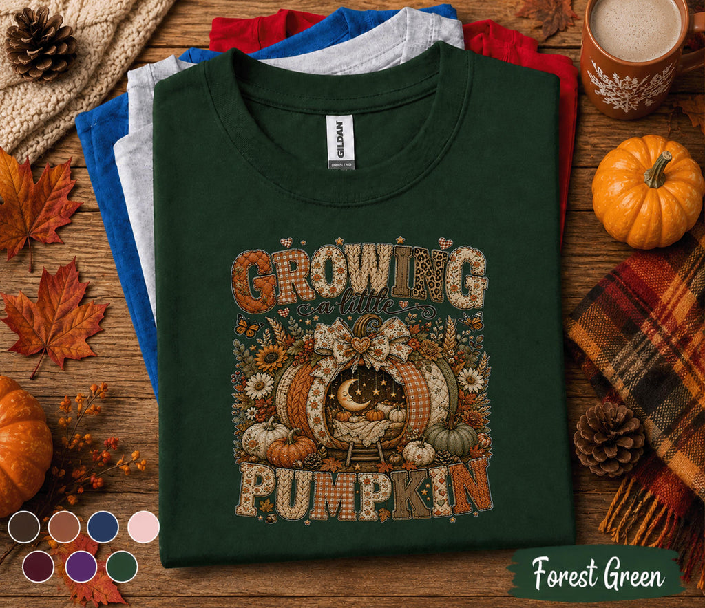 Growing a Little Pumpkin Shirt, Cute Pregnancy Fall Shirt, Pumpkin Baby Announcement Tee, Autumn Maternity Shirt, Baby Shower Gift Mom to Be