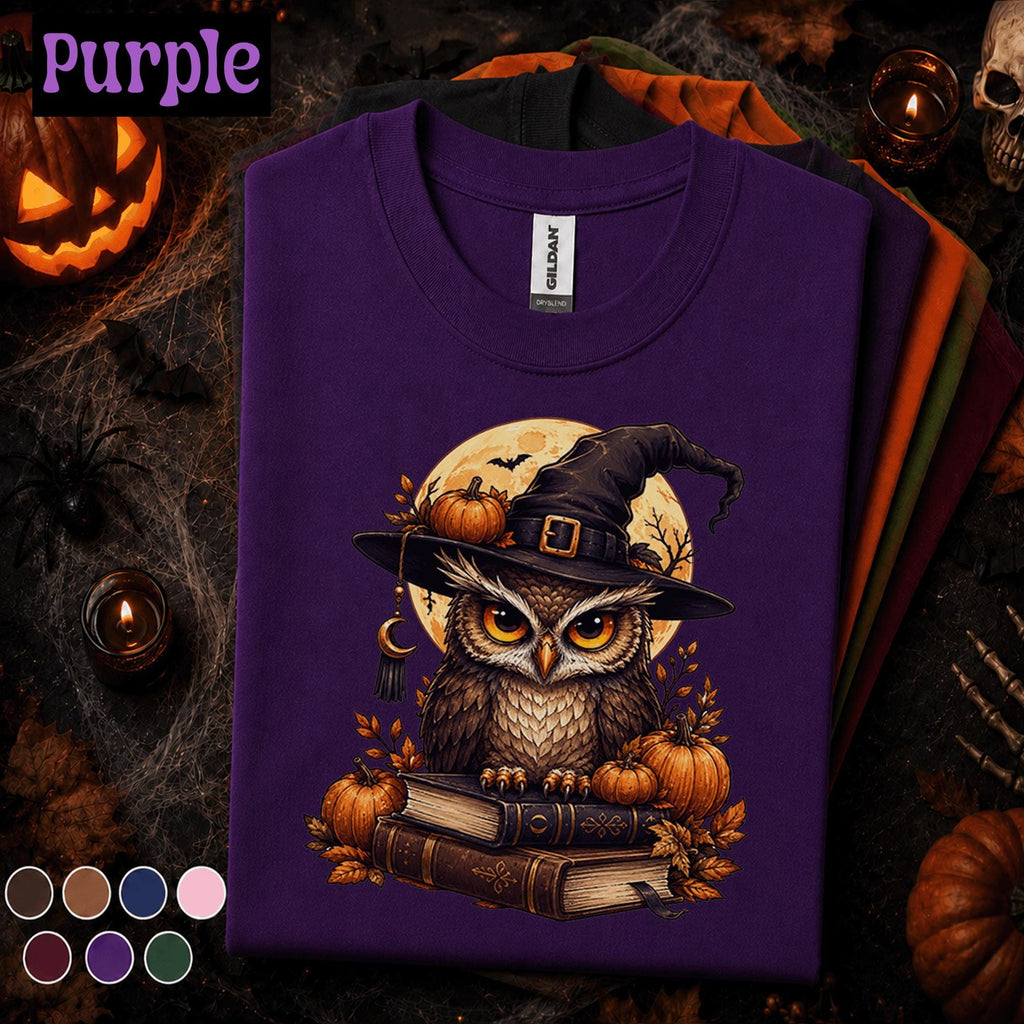 Halloween Owl Shirt, Witch Owl T Shirt, Spooky Season Tee, Pumpkin Moon Shirt, Witchy Fall Top, Owl Lover Halloween Gift Tee