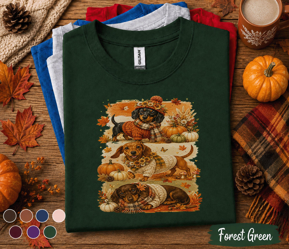 Cute Dachshund Fall Shirt, Autumn Wiener Dog Pumpkin Tee, Cozy Doxie Lover Sweatshirt, Thanksgiving Dog Shirt, Fall Puppy Tee