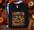 Growing a Little Pumpkin Shirt, Cute Pregnancy Fall Shirt