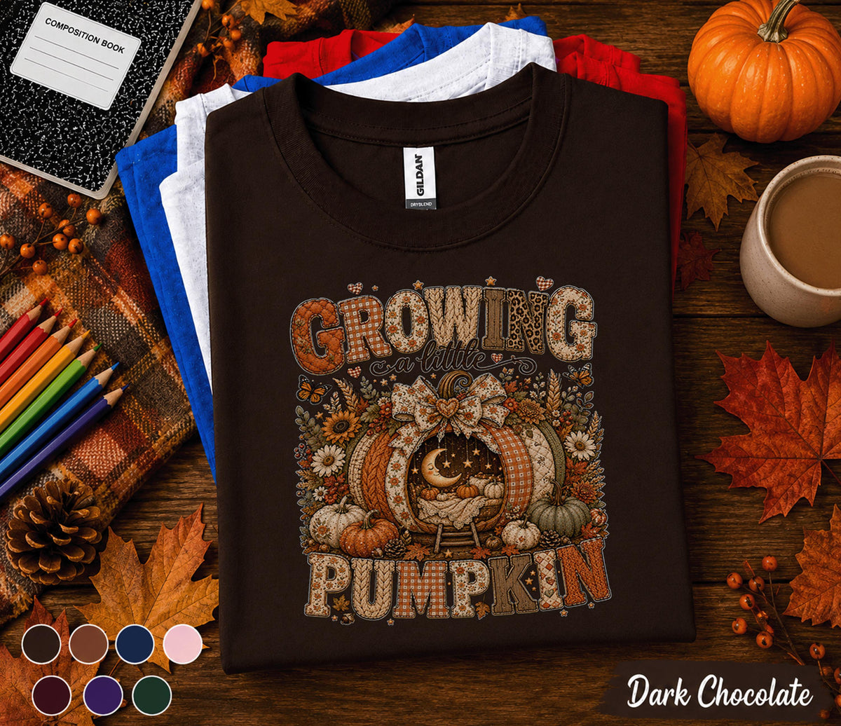 Growing a Little Pumpkin Shirt, Cute Pregnancy Fall Shirt, Pumpkin Baby Announcement Tee, Autumn Maternity Shirt, Baby Shower Gift Mom to Be