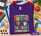 Awesome 2nd Grader Shirt, This Is What an Awesome 2nd Grader Looks Like Tee, Back to School Shirt, First Day of Second Grade Gift