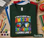 Awesome 2nd Grader Shirt, This Is What an Awesome 2nd Grader Looks Like Tee, Back to School Shirt, First Day of Second Grade Gift