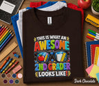 Awesome 2nd Grader Shirt, This Is What an Awesome 2nd Grader Looks Like Tee, Back to School Shirt, First Day of Second Grade Gift